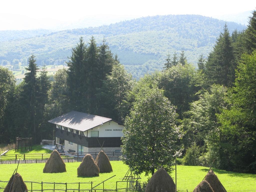 Cabana Haiducului Teşila Kültér fotó